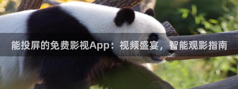 小小影院官网正版下载：能投屏的免费影视App：视频盛宴，智能观影指南