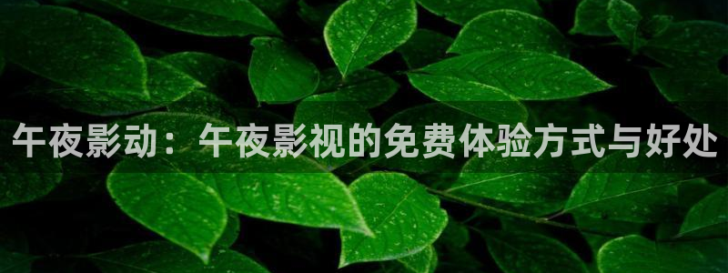 小小影视在线观看高清完整版