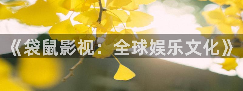 小小影视下载大全