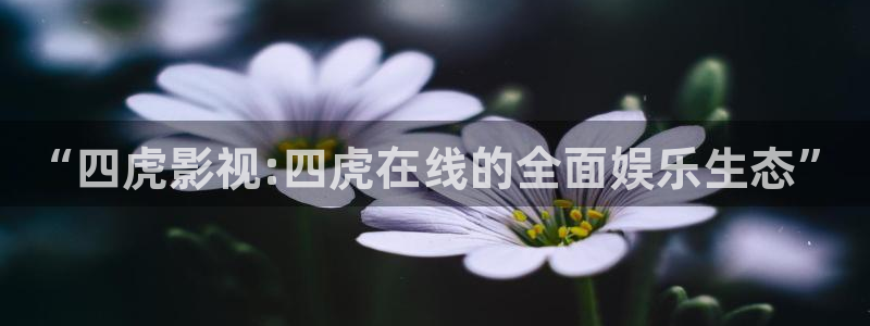 小小影视大全免费高清版