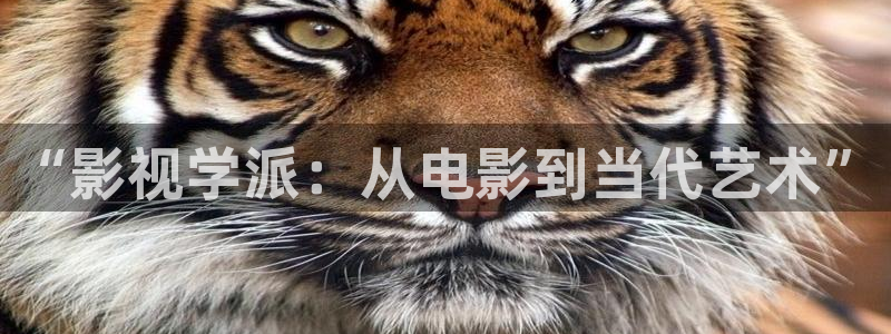 小小影视