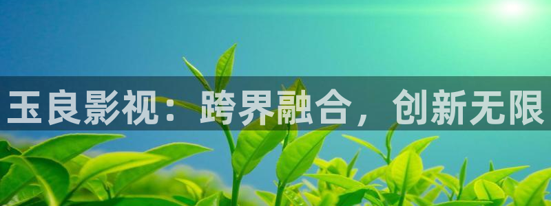 小小影视苹果下载