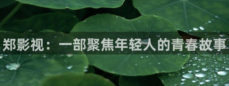 小小影视在线观看tv影院