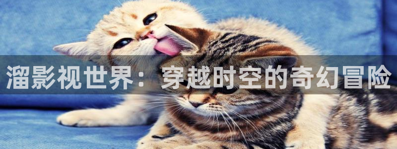 小小影视免费app下载